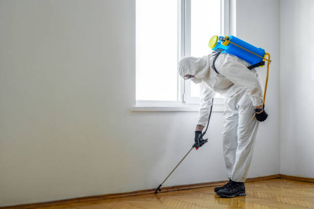 Best Residential Pest Control  in Kalispell, MT